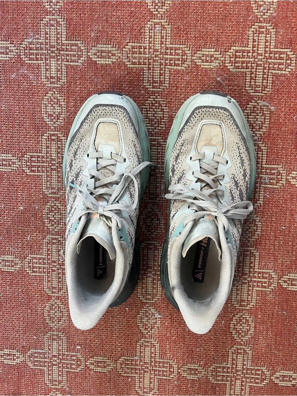 Hoka Women's Speedgoat 5 size 8/40